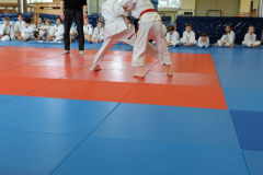 IMG_20220501_104013